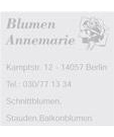 Textplatte für Colop Printer Q43